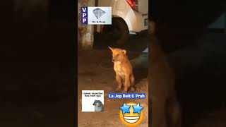 La Jop Beit U Prah..sngewtynnad Palat Ka Jingrwai Kohnguh Khlieh Lang U Ksew