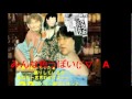 「2011 好きやねん　ハーフナイトライブ　in  OSAKA」カウントダウン.wmv