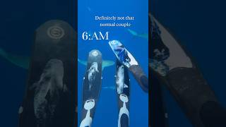 Our Shark Life