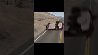 Bear Car Gyat