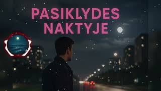 Palydęs Naktyje Naujiena