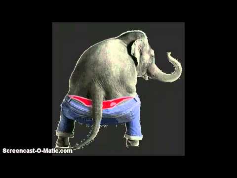 the bum bum song!