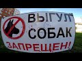 А вам слабо?