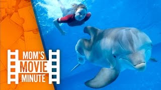 Dolphin Tale 2 Moms Movie Minute Movieclips Family