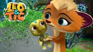Leo And Tig लय और टग तयकत शश बचच क लए मजदर करटन Super Toons Tv