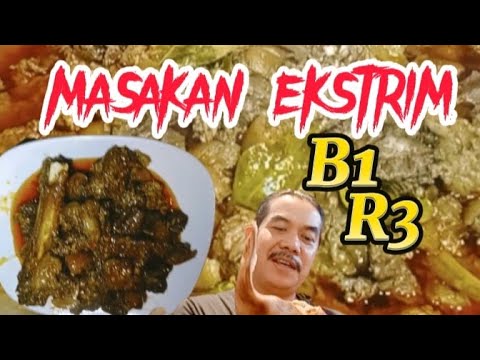 MASAKAN EKSTRIM  || Cara Masak Daging Anjing Rendang Rica-Rica ( B1R3 ) @pemburulegendchannel2482