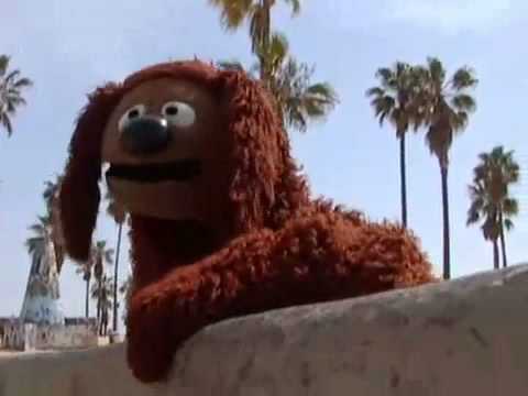 The Skateboarding Dog Gets Served