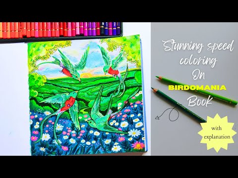 Color Along • New Birdomania Coloring Book #speedcoloring #adultcoloring #completedcoloringpage #art Color Along • New Birdomania Coloring Book #speedcoloring #adultcoloring #completedcoloringpage #art