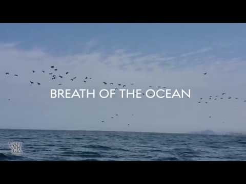 Peru - breath of the ocean | Дыхание океана