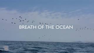 Peru - breath of the ocean | Дыхание океана