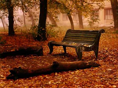 URDU POETRY - Dashte Tanhai Main