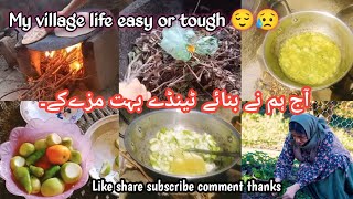Aj Banay Hum Ny Tenda Unique Women Village Vlog
