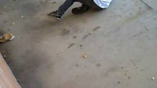 Ohrans First Skate Video