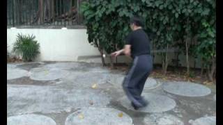 Choy Li Fat Chop Horse Til Dao