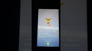 Poo Eevee