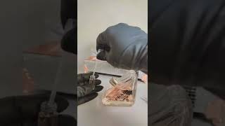 Preparando Um Decant Do Prada Paradoxe