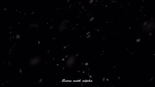 Snow Falling Overlay Stock Motion Graphics