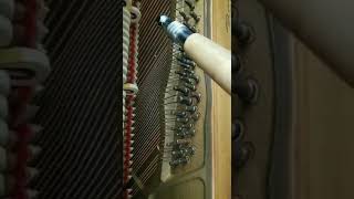 Hear Piano Note B Flat 1