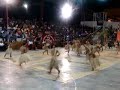 DANZAS SELVATICAS