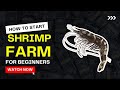 How to Start Shrimp Farming for Beginners | Prawns Farming Guide - Everything you need to know