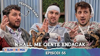 Logjikonomia Ep.66 - Nhall Me Qentë Endacak Teve1