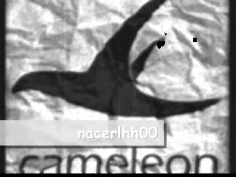 cameleon nedmet