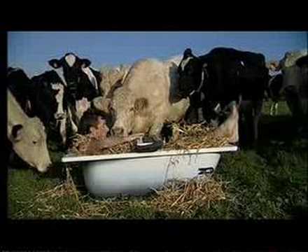 Elle se prend trois bites