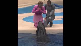 Dolphin Loves Human