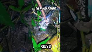 Mancing Belut Malam Hari Mantap Gaes