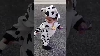 Taçum Panda Olamadı Gibi