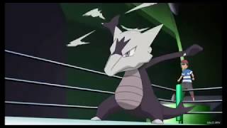 Litten, Maroark And Charjabug Vs Inceneroar And Litten Evolve
