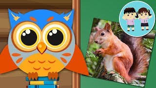 Babu Puiul De Bufnita La Scoala Din Padure - Animalele De Padure - Copilasi Dragalasi