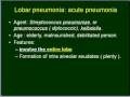 Bacterial Pneumonia Pathophysiology | RM. Bacterial Pneumonia Pathophysiology | RM.