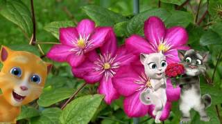 8 Mart Tebriki Dear Women I Concratulate You On 8 March