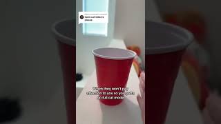 Water Cup Meow