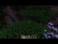 Woods