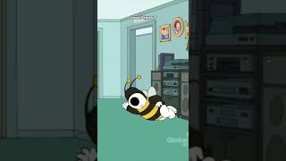 Family Guy Calm Down