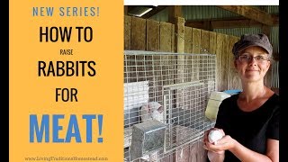 How To Raise Rabbits for Meat: Series Introduction