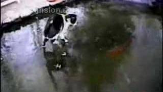 Engellenme-Fiziksel Engellenme-Muhittin Korucu