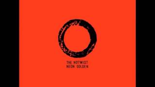 the notwist neon golden album