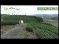 日本緑茶の発祥の地、宇治田原町を訪ねて