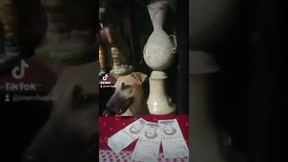 Si Tienes 3 Dólares