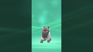Poochyena Evolution