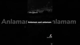 Anlamam Seni Anlamam
