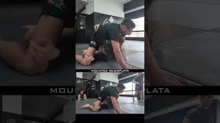 Mounted Gogoplata