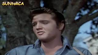 Watch Elvis Presley Got A Lot O Livin To Do video