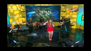 Stephanie Gerard Animal Nocturno Enero 2012 1