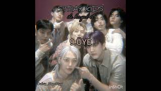 Stray Kids Ile Hayal Et 9.Üye 4.Bölüm
