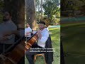 Pré cerimônia com Piano, Violoncelo e Percussão ✨💕 Renato Silva, Gabriel Alvico e Fábio Marrone