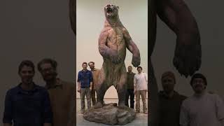 Short Faced Bear North Americas Largest Carnivorous Mammal